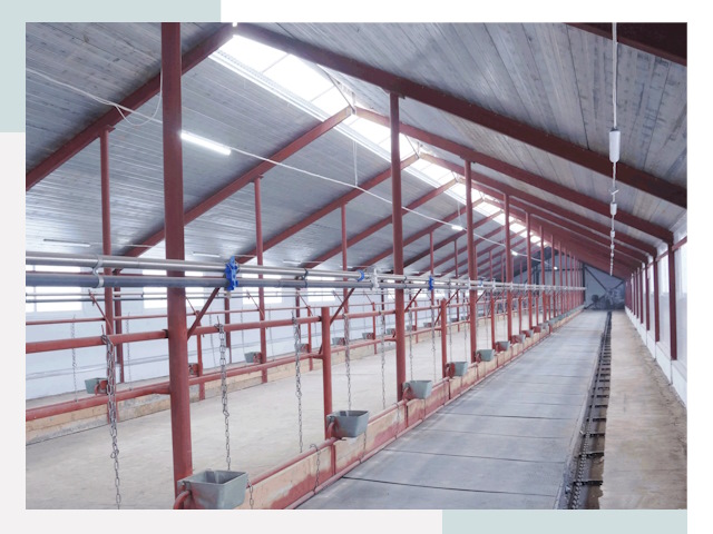 Строительство коровников в Новоуральске от 612 руб.