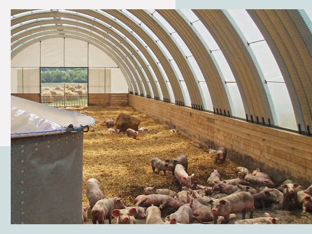 Строительство свинарников в Новоуральске