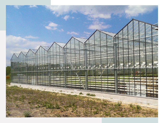 Строительство теплиц в Новоуральск от 612 руб. за м²